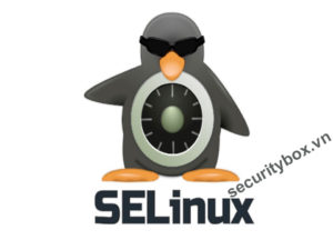 SELinux