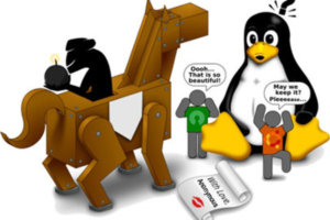 bao-mat-may-chu-linux